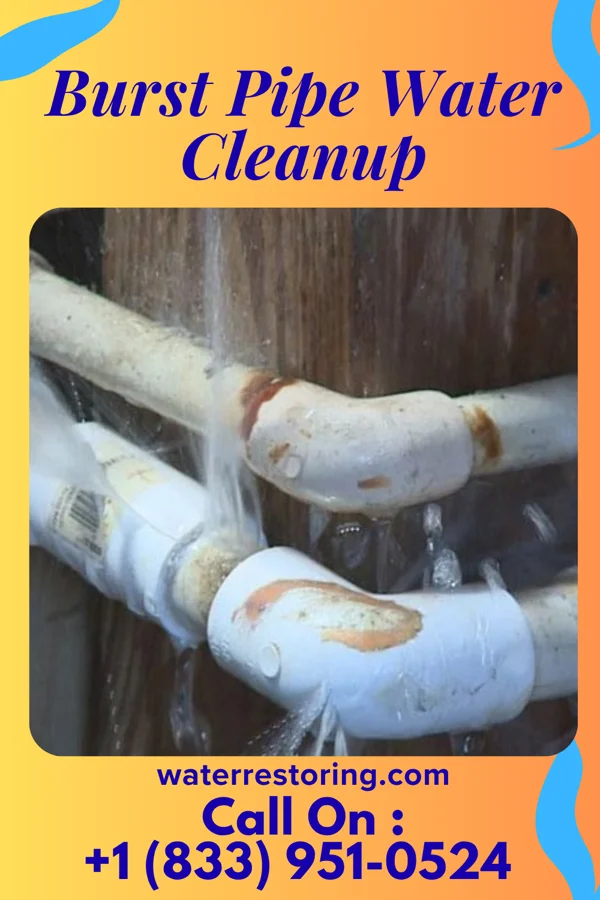 Burst Pipe Water Cleanup in Blossburg, PA