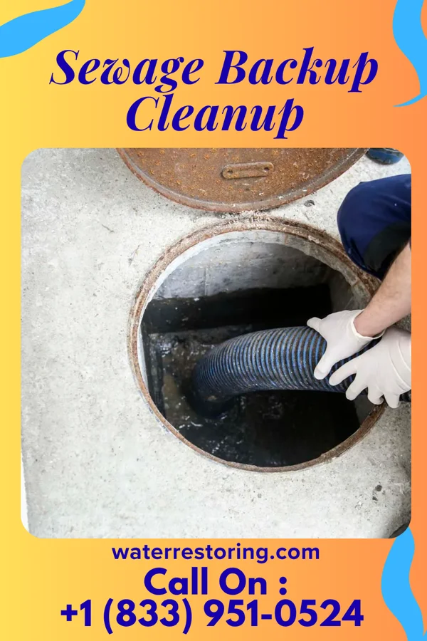Sewage Backup Cleanup in Blossburg, PA